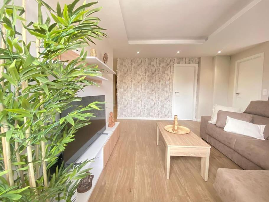 Apartment Paraiso
